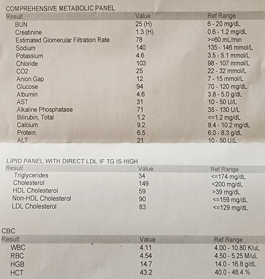 Patient bloodwork — comprehensive metabolic panel, lipid panel, CBC